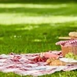 picnic crop Welcome Back Party 2 picnic crop Welcome Back Party 1